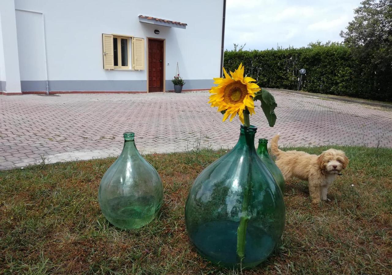 Casa Amrita, Yoga B&B 테라모 외부 사진