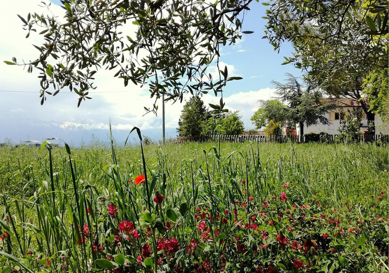 Casa Amrita, Yoga B&B 테라모 외부 사진