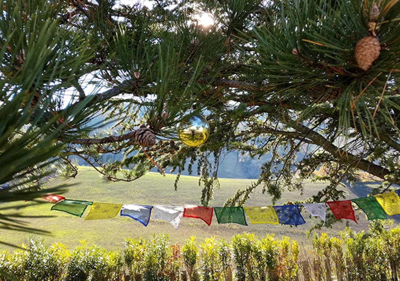 Casa Amrita, Yoga B&B 테라모 외부 사진